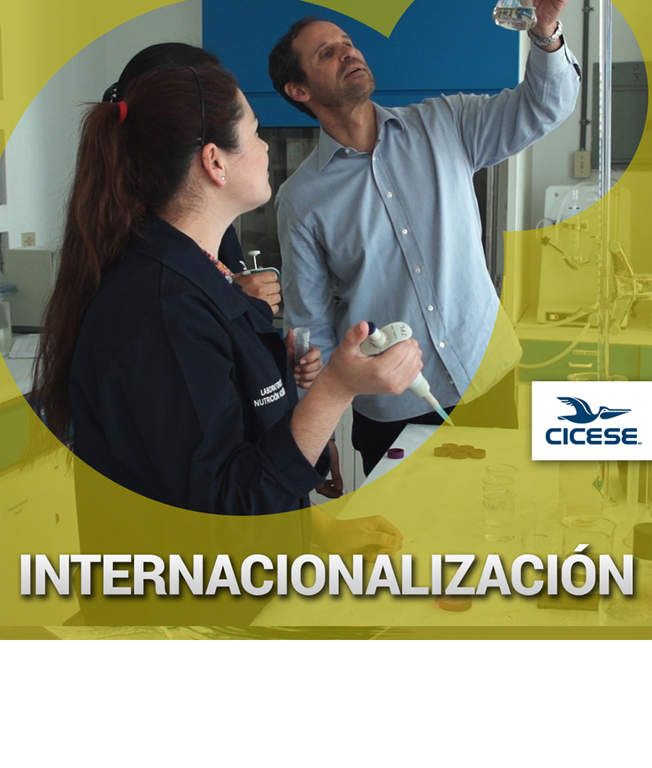 Internacionalización Posgrados CICESE